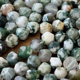 Faceted Star Cut Tree Agate Bead Strand - 8-10mm