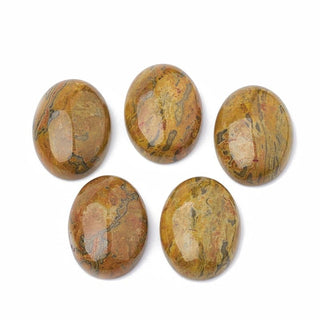 Oval Goldenrod Ripple Jasper Cabochon 25x18mm