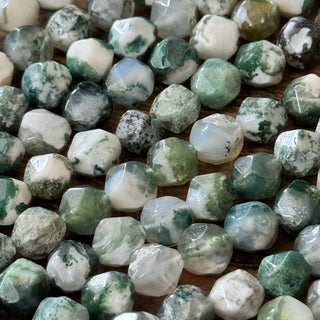 Faceted Star Cut Tree Agate Bead Strand - 8-10mm