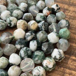 Faceted Star Cut Tree Agate Bead Strand - 8-10mm