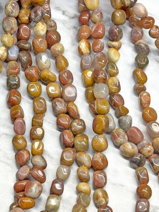 Petrified Wood Tumbled Beads Strand - 6-8mm
