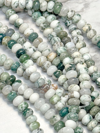 Tree Agate Rondelle Beads Strand - 8x5mm