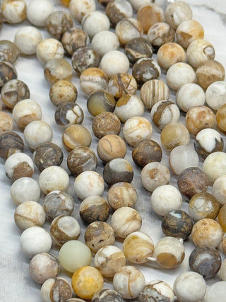 American Petrified Wood Matte Beads Strand - 6mm