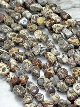 Astroite Jasper Tumbled Beads Strand - 6-10mm
