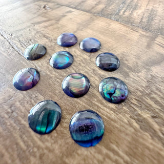 10pc 8mm Abalone Shell Dome Cabochons