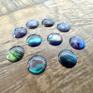 10pc 8mm Abalone Shell Dome Cabochons