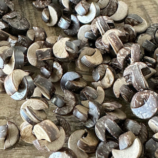 12mm Moon Shaped Wood Bead Strand - Coconut Wood