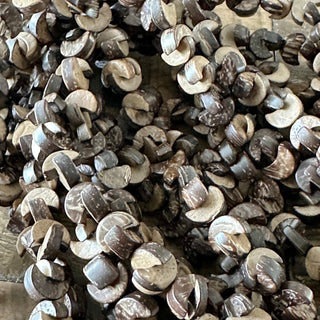 12mm Moon Shaped Wood Bead Strand - Coconut Wood